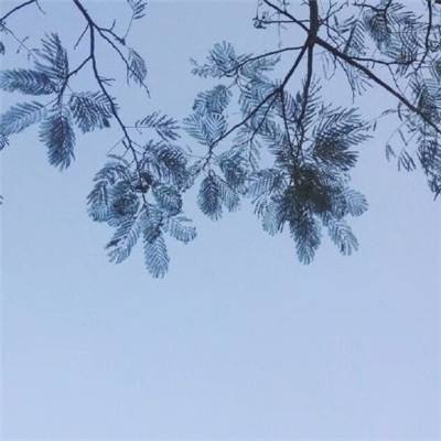 小米文明5手游下载