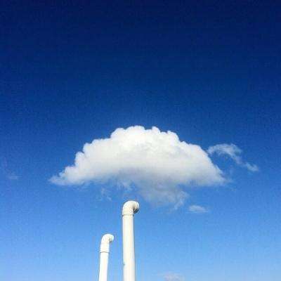 芥末空间下载安装最新版